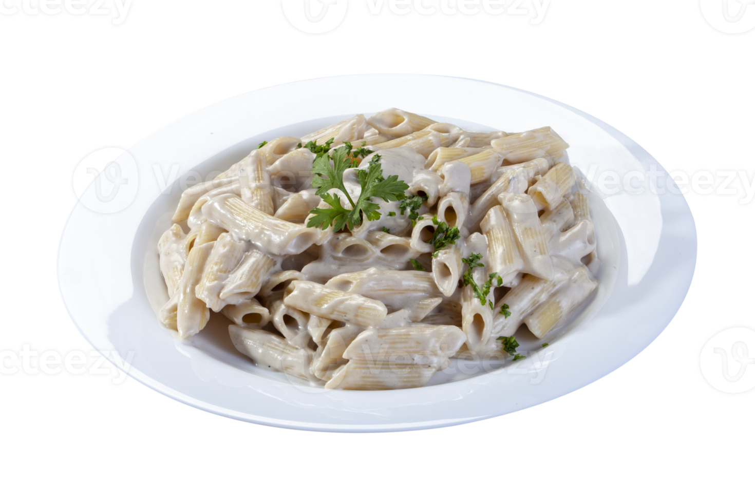 White sause pasta